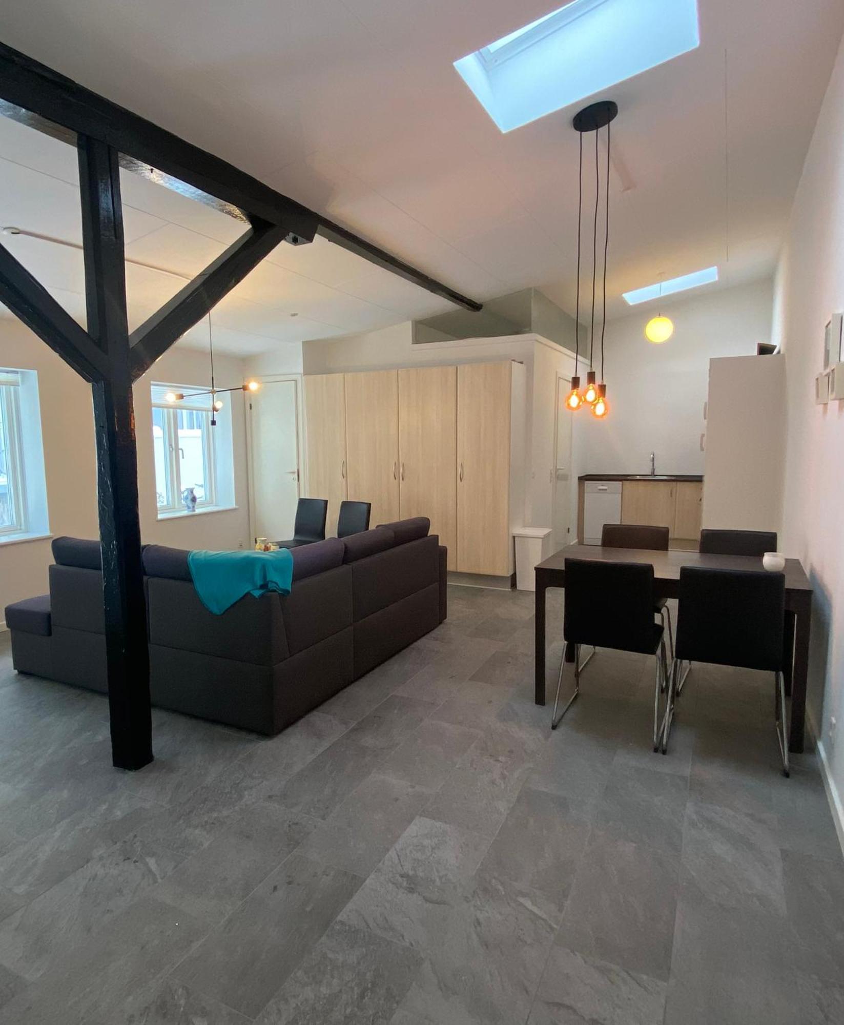 Charming - Luxurious 1 Bedroom Apartment In The Heart Of Aalborg Exterior photo